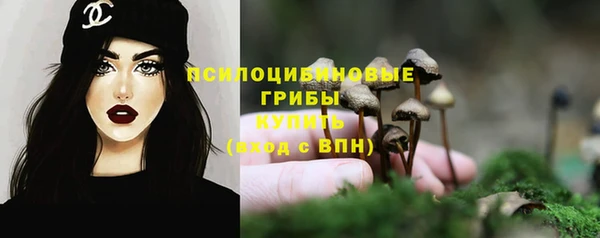 прущие крисы Абдулино
