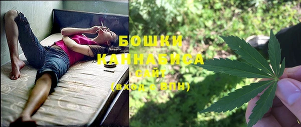 крисы Нягань